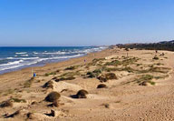 Dunes de Guardamar