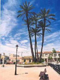 Plaza con palmeras