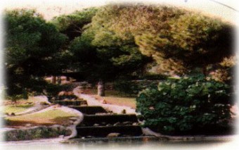 Parque reina Sofía.